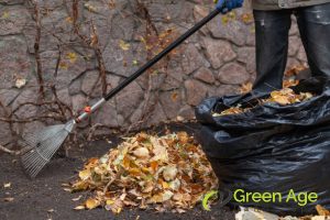 6 Ways To Prepare For Professional Artificial Turf Installation in Singapore 2 clear-the-area-6-ways-to-prepare-for-professional-artificial-turf-installatio-in-singapore-artificial-turfing-greenage-landscaping-services-singapore