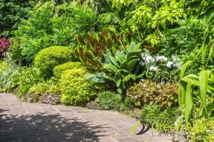 ensures-consistent-aesthetics-why-should-you-engage-garden-maintenance-services-regularly-in-singapore-garden-maintenance-long-form-greenage-landscaping-services-singapore