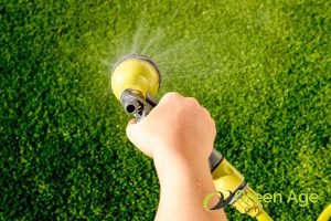 6 Reasons You Should Engage a Professional For Artificial Turf Maintenance in Singapore 2 expertise-in-proper-maintenance-techniques-6-reasons-you-should-engage-a-professional-for-artificial-turf-maintenance-in-singapore-artificial-turfing-greenage-landscaping-services-singapore