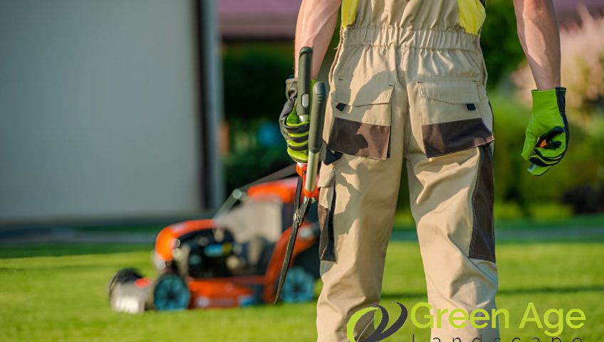 featured-5-essential-qualities-to-look-for-in-a-landscape-company-in-singapore-landscape-company-greenage-landscaping-services-singapore