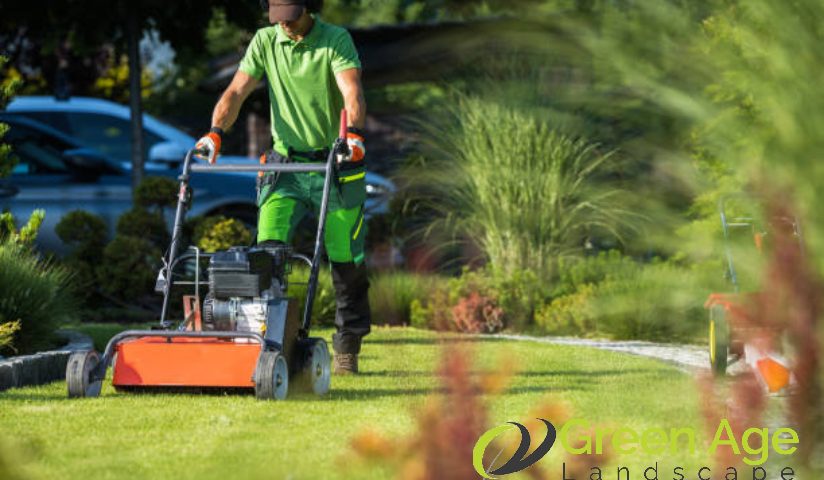 featured-8-reasons-not-to-hire-a-cheap-landscape-company-in-singapore-landscape-company-greenage-landscaping-services-singapore