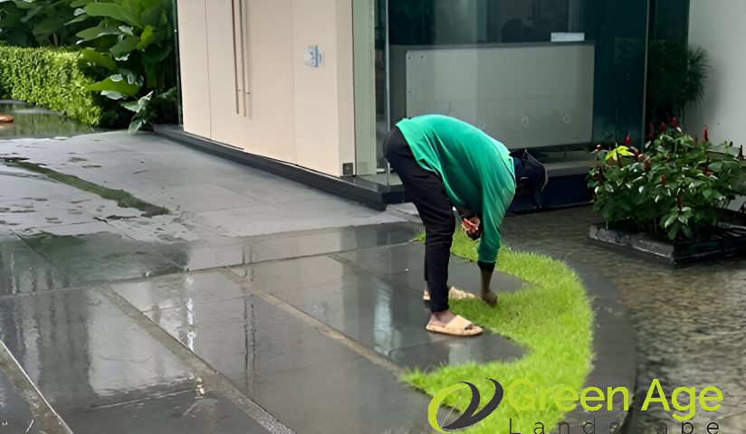 featured-image-planting-grass-7-benefits-of-planting-grass-for-your-garden-grass-planting-greenage-landscaping-services-singapore