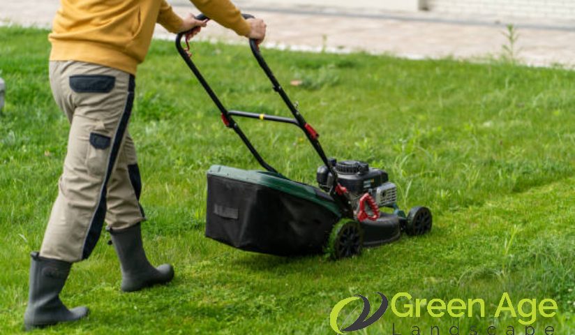 featured-landscape-company-singapore-avoid-these-mistakes-when-choosing-the-best-landscape-company-in-singapore-landscape-company-greenage-landscaping-services-singapore