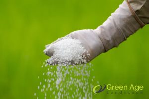 fertilizer-application-what-happens-during-professional-landscape-maintenance-long-form-greenage-landscaping-services-singapore