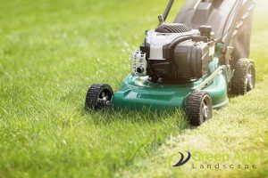 garden-mowing-10-essential-diy-garden-maintenance-tips-for-homeowners-garden-maintenance-long-form-greenage-landscaping-services-singapore