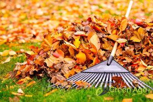garden-rake-13-important-tools-and-equipment-you-need-to-have-for-garden-maintenance-long-form-greenage-landscaping-services-singapore