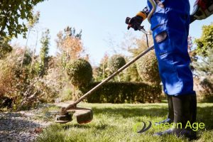 grass-cutting-what-can-you-expect-when-engaging-professional-landscape-maintenance-services-long-form-greenage-landscaping-services-singapore