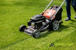 grass-maintenance-turf-grass-vs-natural-grass-whats-best-for-your-singapore-garden-turf-grass-greenage-landscaping-services-singapore
