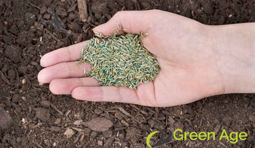 grass-planting-why-shouldnt-you-do-diy-grass-planting-greenage-landscaping-services-singapore