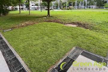 grass-turfing-services-greenage-landscaping-services-singapore-hdb-pasir-ris-1