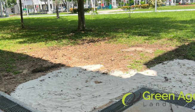 grass-turfing-services-greenage-landscaping-services-singapore-hdb-pasir-ris-2