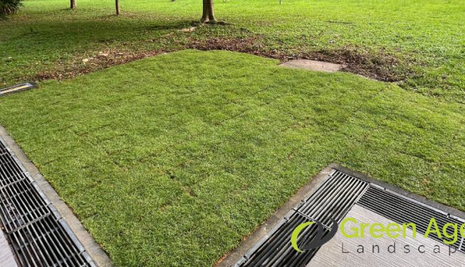 grass-turfing-services-greenage-landscaping-services-singapore-hdb-pasir-ris-3