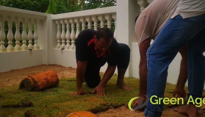 grass-turfing-services-greenage-landscaping-services-singapore-landed-serangoon-2