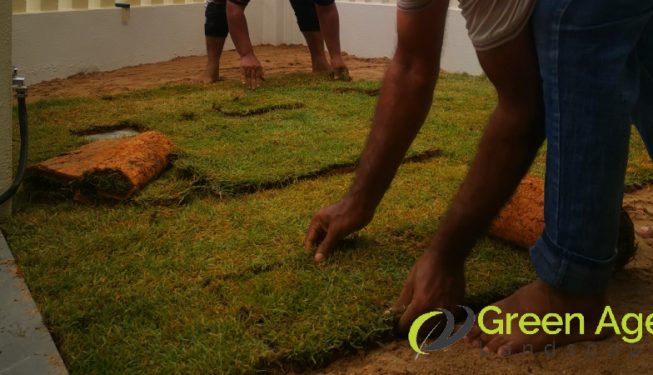 grass-turfing-services-greenage-landscaping-services-singapore-landed-serangoon-4