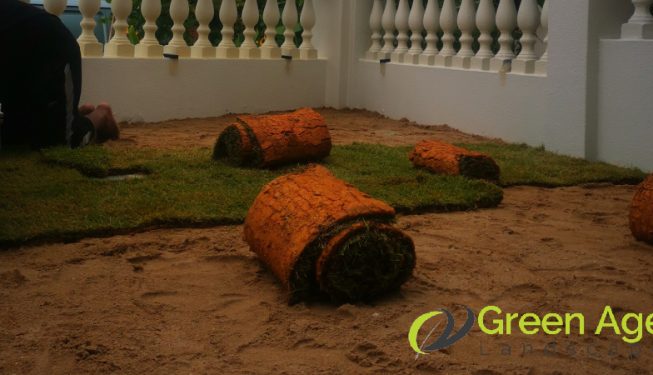 grass-turfing-services-greenage-landscaping-services-singapore-landed-serangoon-8