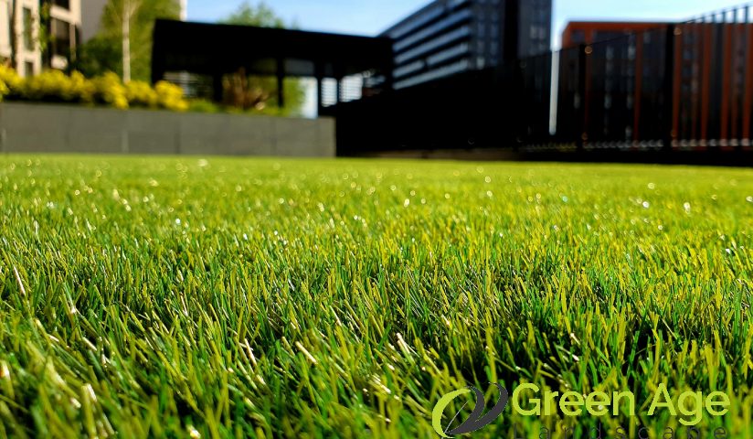 grass-type-how-to-select-the-right-grass-to-plant-for-your-garden-grass-planting-greenage-landscaping-services-singapore.jpg