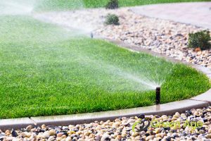 How To Select The Right Grass to Plant for Your Garden in Singapore? 4 grass-watering-how-to-select-the-right-grass-to-plant-for-your-garden-grass-planting-greenage-landscaping-services-singapore.jpg