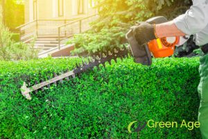 5 Essential Qualities to Look for in a Landscape Company in Singapore 4 highly-reliable-in-performing-landscaping-services-5-essential-qualities-to-look-for-in-a-landscape-company-in-singapore-landscape-company-greenage-landscaping-services-singapore