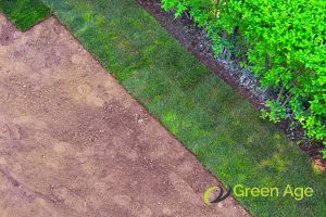 How Much Does Professional Turf Grass Installation Cost in Singapore? 2 installation-area-how-much-does-professional-turf-grass-installation-cost-turfing-greenage-landscaping-services-singapore