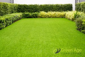 installed-turf-grass-8-benefits-of-selecting-turf-grass-for-your-garden-turf-grass-greenage-landscaping-services-singapore
