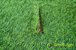 lack-of-attention-to-details-6-signs-of-an-inexperienced-landscape-company-in-singapore-landscape-company-greenage-landscaping-services-singapore