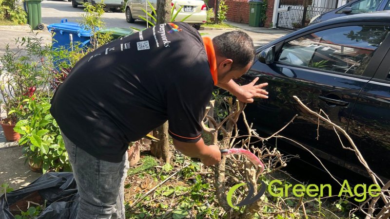 landscape-contractor-description-greenage-landscaping-services-singapore