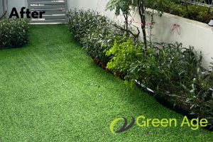 landscape-maintenance-greenage-landscaping-services-singapore-landed-braddell-2