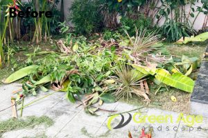 landscape-maintenance-greenage-landscaping-services-singapore-landed-serangoon-1