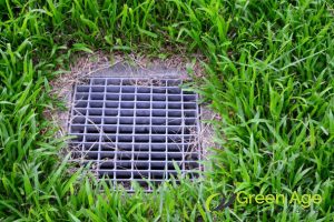 7 Common Mistakes Homeowners Make When Maintaining Artificial Turf in Singapore 4 neglecting-proper-drainage-7-common-mistakes-homeowners-make-when-maintaining-artificial-tur-in-singapore-artificial-turfing-greenage-landscaping-services-singapore