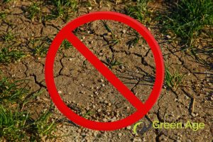 prevent-soil-erosion-7-benefits-of-planting-grass-for-your-garden-grass-planting-greenage-landscaping-services-singapore