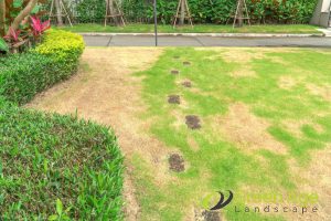 prevents-costly-garden-issues-why-should-you-engage-garden-maintenance-services-regularly-in-singapore-garden-maintenance-long-form-greenage-landscaping-services-singapore