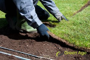 professional-grass-service-why-shouldnt-you-do-diy-grass-planting-greenage-landscaping-services-singapore.jpg