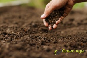How To Select The Right Grass to Plant for Your Garden in Singapore? 5 soil-requirements-how-to-select-the-right-grass-to-plant-for-your-garden-grass-planting-greenage-landscaping-services-singapore.jpg