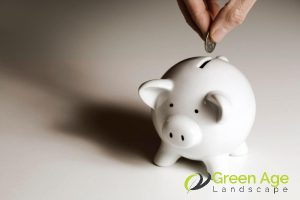 6 Advantages of Engaging Professional Grass Planting Services in Singapore 4 they-can-save-you-money-in-the-long-run-6-advantages-of-engaging-professional-grass-planting-service-in-singapore-grass-planting-greenage-landscaping-services-singapore