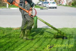 8 Reasons Not To Hire a Cheap Landscape Company in Singapore 3 they-might-use-cheap-materials-and-outdated-equipment-8-reasons-not-to-hire-a-cheap-landscape-company-in-singapore-landscape-company-greenage-landscaping-services-singapore