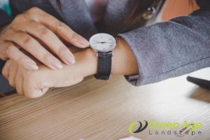 What to Consider in Choosing Between DIY vs. Professional Plant Pruning in Singapore? 4 time-and-availability-what-to-consider-in-choosing-between-diy-vs-professional-plant-pruning-in-singapore-plant-pruning-greenage-landscaping-services-singapore