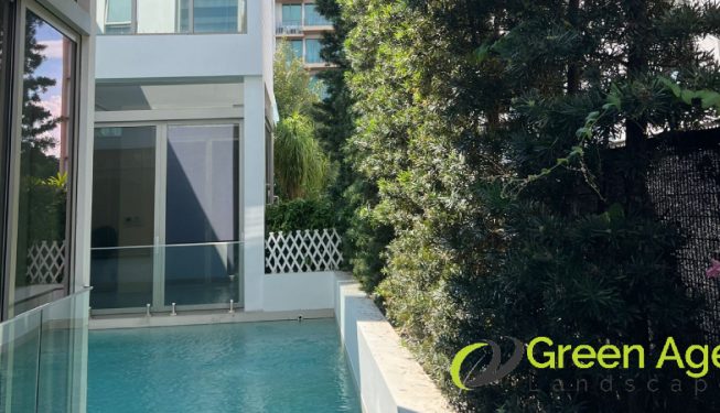 tree-pruning-greenage-landscaping-services-singapore-landed-tanah-merah-3
