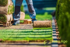 turf-install-what-can-you-expect-when-engaging-professional-landscape-maintenance-services-long-form-greenage-landscaping-services-singapore