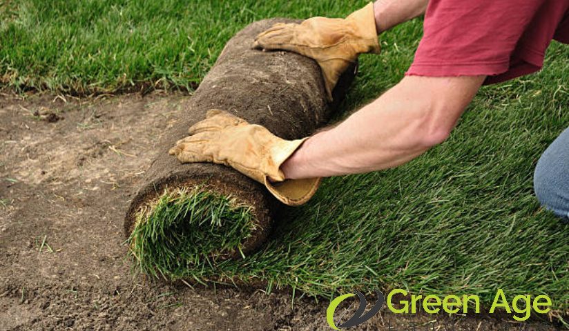 turf-installation-how-much-does-professional-turf-grass-installation-cost-turfing-greenage-landscaping-services-singapore