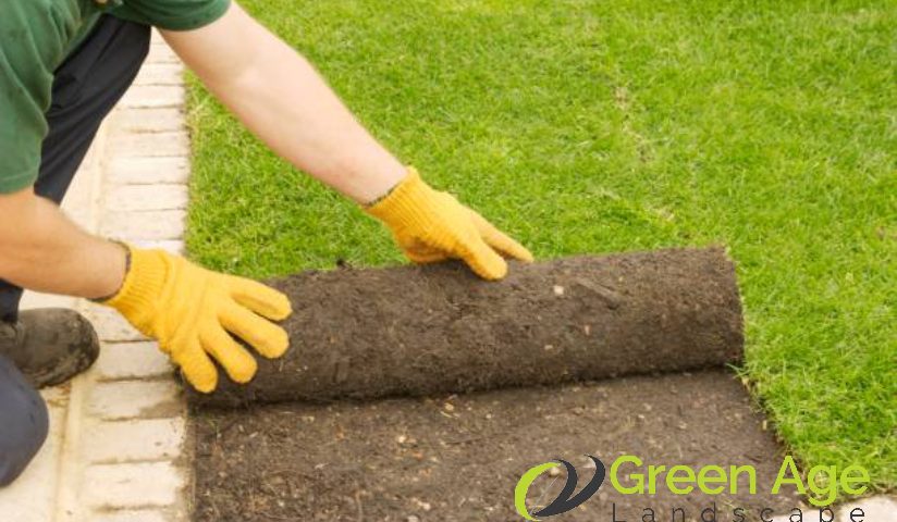 turf-installation-why-should-you-hire-a-professional-for-turf-grass-installation-greenage-landscaping-services-singapore