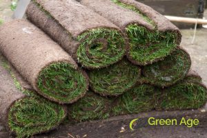 4 Factors Affecting The Duration of Professional Turf Grass Installation in Singapore 2 turf-size-and-weight-4-factors-affecting-the-duration-of-professional-turf-grass-installation-greenage-landscaping-services-singapore