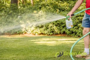 7 Common Mistakes Homeowners Make When Maintaining Artificial Turf in Singapore 3 using-harsh-chemicals-7-common-mistakes-homeowners-make-when-maintaining-artificial-tur-in-singapore-artificial-turfing-greenage-landscaping-services-singapore