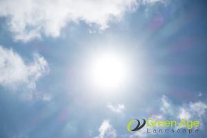 4 Factors Affecting The Duration of Professional Turf Grass Installation in Singapore 3 weather-condition-4-factors-affecting-the-duration-of-professional-turf-grass-installation-greenage-landscaping-services-singapore