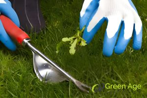weeding-tool-13-important-tools-and-equipment-you-need-to-have-for-garden-maintenance-long-form-greenage-landscaping-services-singapore
