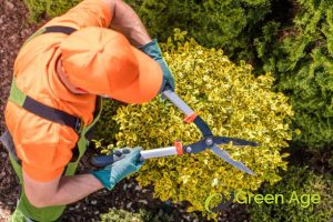 5 Essential Qualities to Look for in a Landscape Company in Singapore 2 wide-expertise-knowledge-in-landscaping-services-5-essential-qualities-to-look-for-in-a-landscape-company-in-singapore-landscape-company-greenage-landscaping-services-singapore