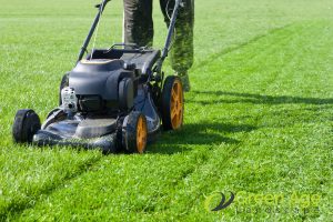 Should You Opt For DIY or Professional Gardening Services in Singapore? 4 access-to-specialized-equipment-and-tools-should-you-opt-for-diy-or-professional-gardening-services-in-singapore-gardening-services-greenage-landscaping-services-singapore