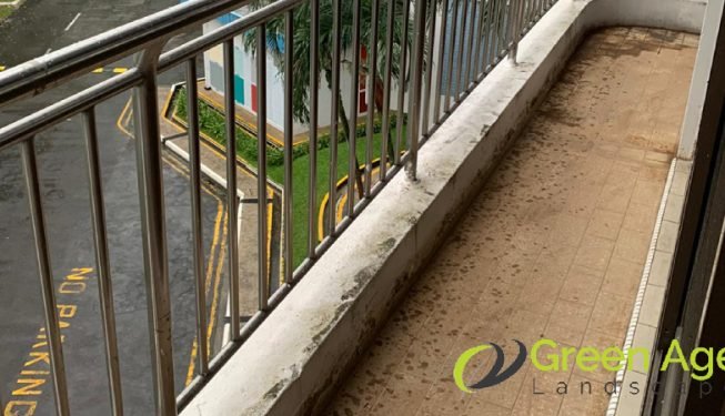 artificial-tufing-services-greenage-landscaping-services-condo-ang-mo-kio-5