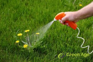 chemical-weeding-3-weeding-techniques-for-different-types-of-landscapes-weeding-long-form-greenage-landscaping-services-singapore