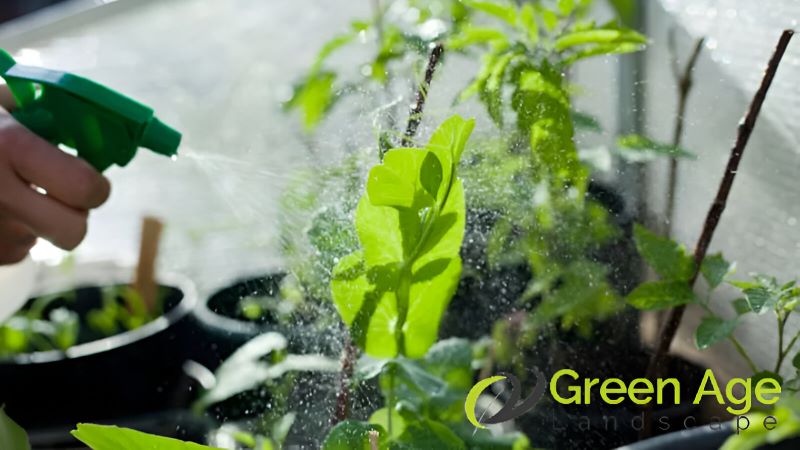 featured-diy-gardening-12-things-you-shouldnt-do-for-your-garden-in-singapore-gardening-services-greenage-landscaping-services-singapore