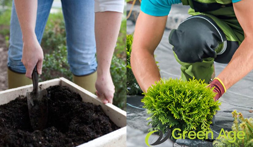 featured-gardening-should-you-opt-for-diy-or-professional-gardening-services-in-singapore-gardening-services-greenage-landscaping-services-singapore